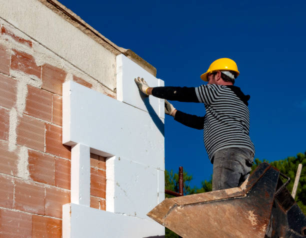 Best Cellulose Insulation in Cassopolis, MI