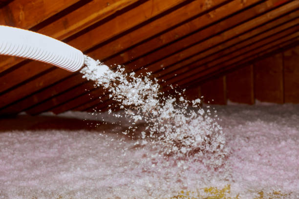 Best Insulation Maintenance and Repair in Cassopolis, MI