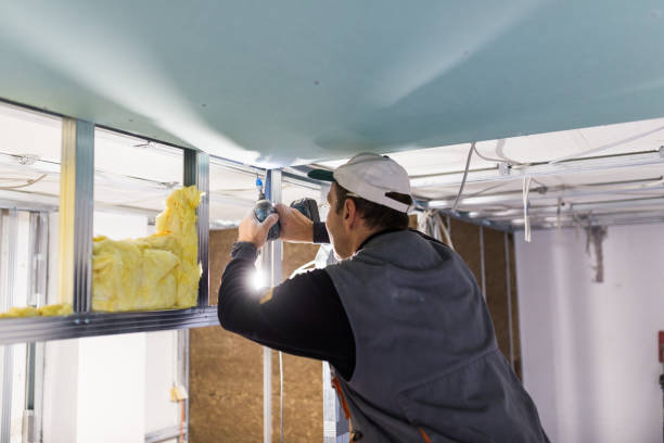 Best Spray Foam Insulation in Cassopolis, MI