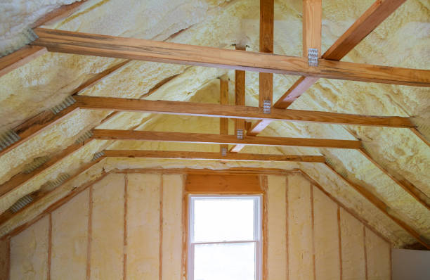 Best Specialized Insulation Services in Cassopolis, MI