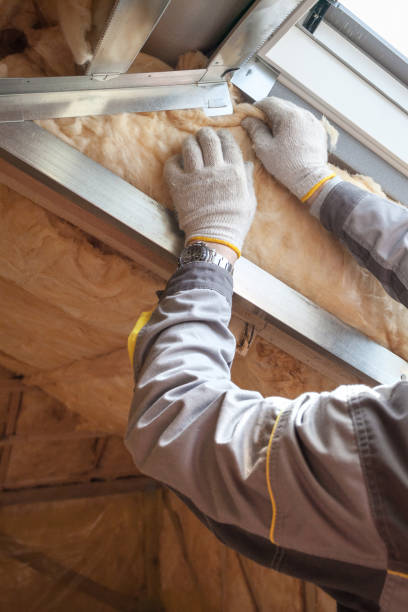 Professional Insulation Contractor in Cassopolis, MI