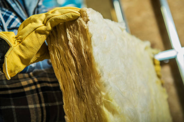 Best Fiberglass Insulation in Cassopolis, MI