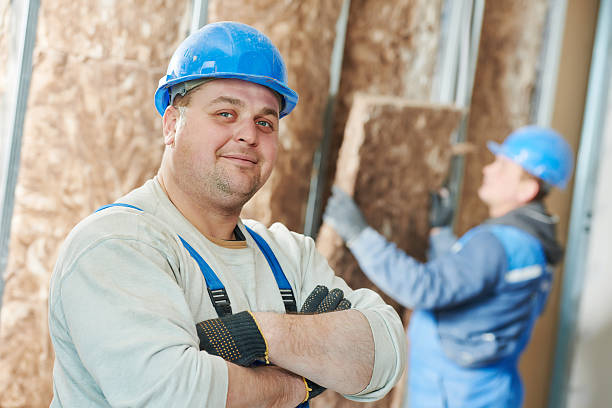 Best DIY Insulation Kits and Guidance in Cassopolis, MI